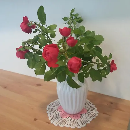 Nurmbergi Maja ויליאנדי