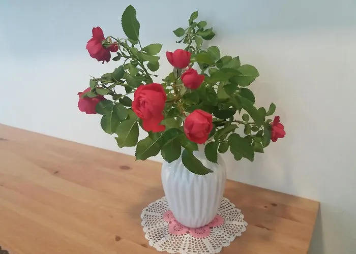 Nurmbergi Maja ויליאנדי