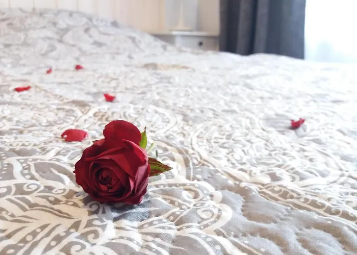 Hostel Nurmbergi Maja Viljandi (Viljandimaa)